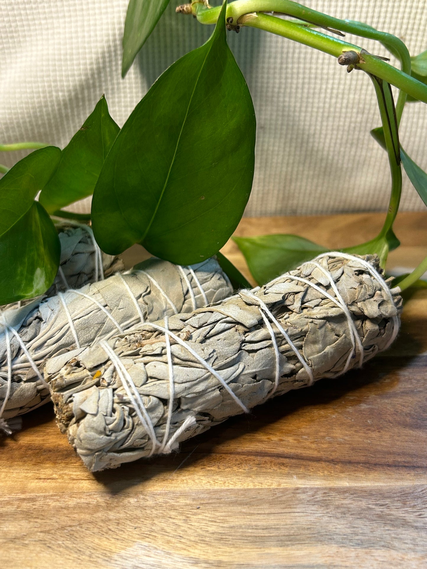 10cm (4”) White Sage Smudge Stick