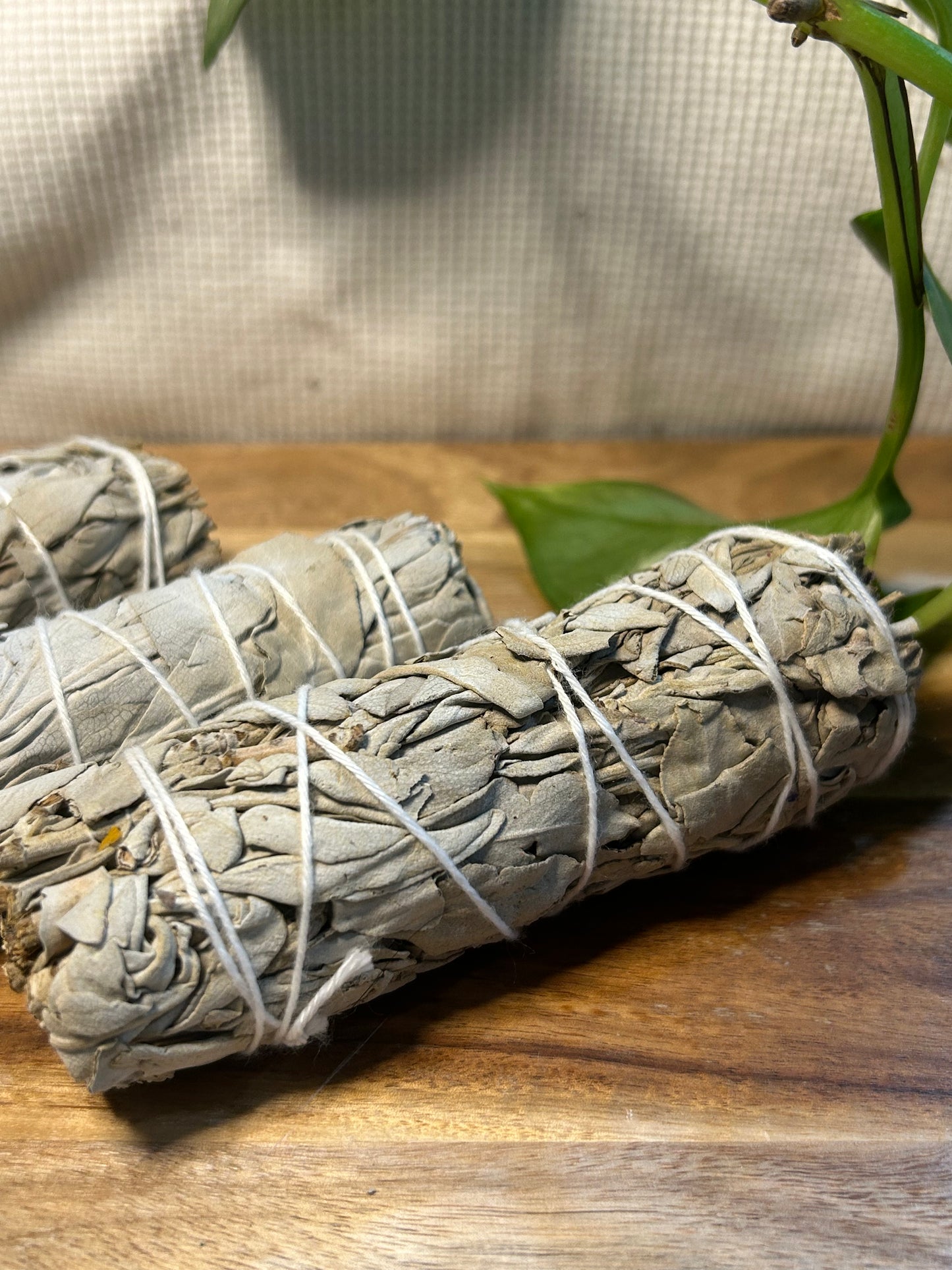 10cm (4”) White Sage Smudge Stick