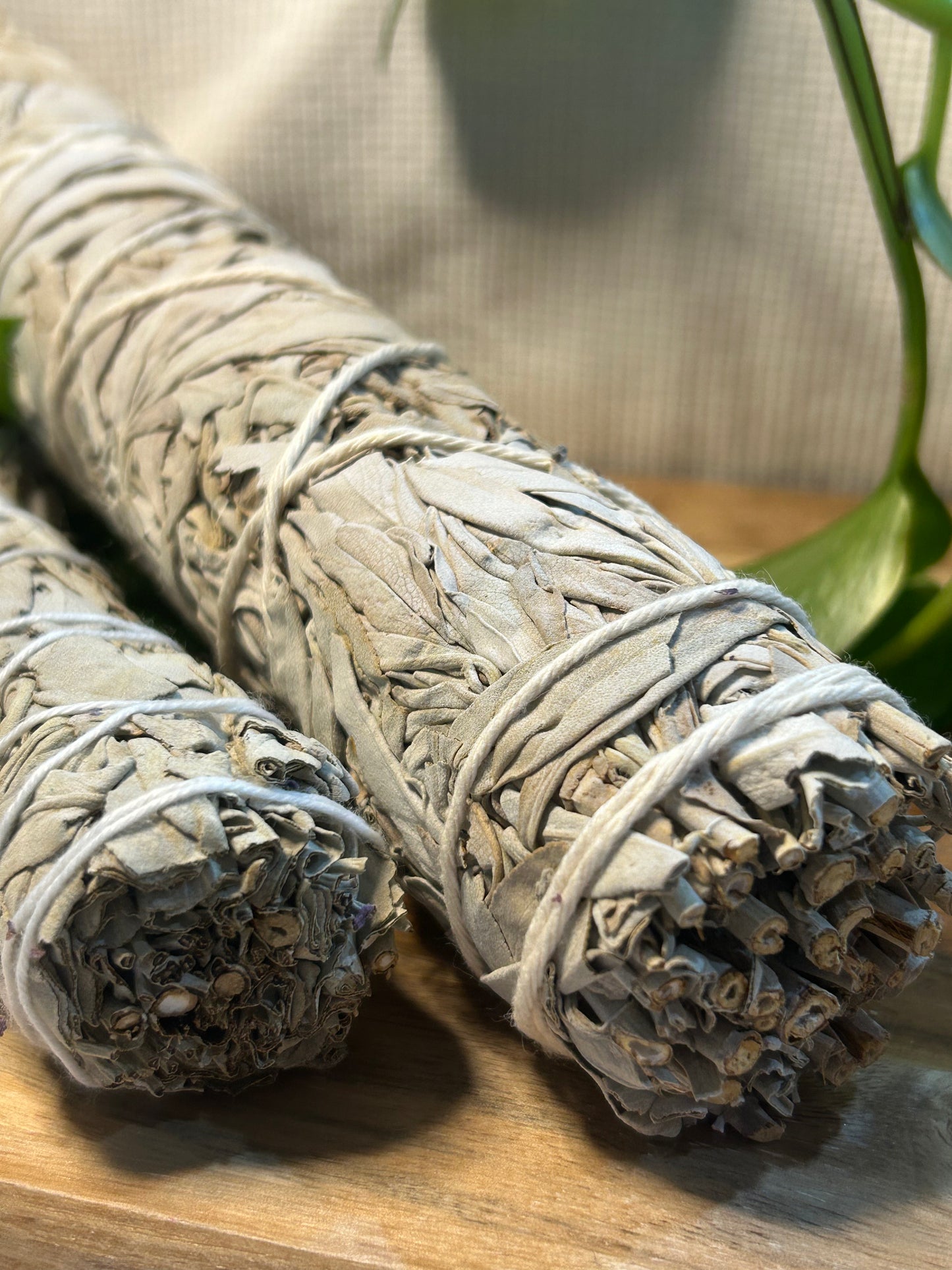 22cm (9”) White Sage Smudge Stick