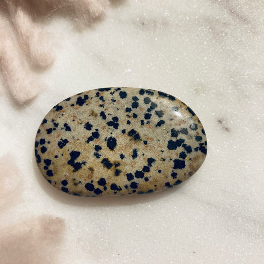 Dalmatian Jasper Large Flat Tumble