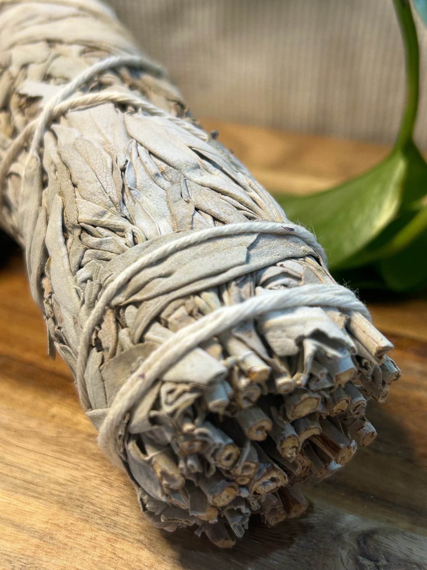 22cm (9”) White Sage Smudge Stick